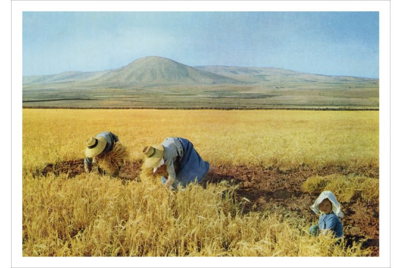 Lanzarote y la postal